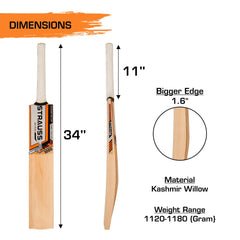 Strauss Cricket Bat | Edition: 1000 | Kashmir Willow | Size: Short Handle | Premium Tennis & Synthetic Ball Cricket Bat
