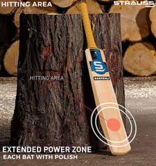 Strauss Kashmir Willow Double Blade Bahubali Cricket Bat, (Without Coating)