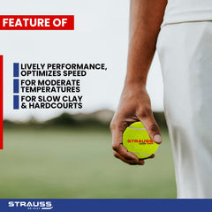 Strauss Cricket Tennis Balls - family recreational play