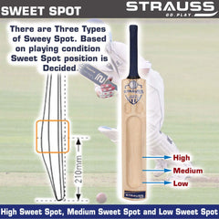 Strauss Kashmir Willow Cricket Bat, (Short Handle) Designer