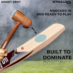 Strauss Cricket Bat | Edition: Stroke | Kashmir Willow | Size: 6 | Tennis & Synthetic Ball Cricket Bat | Tennis Cricket Bat