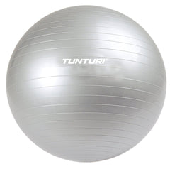 Tunturi Aerobic Gym Ball, 65cm (Silver)