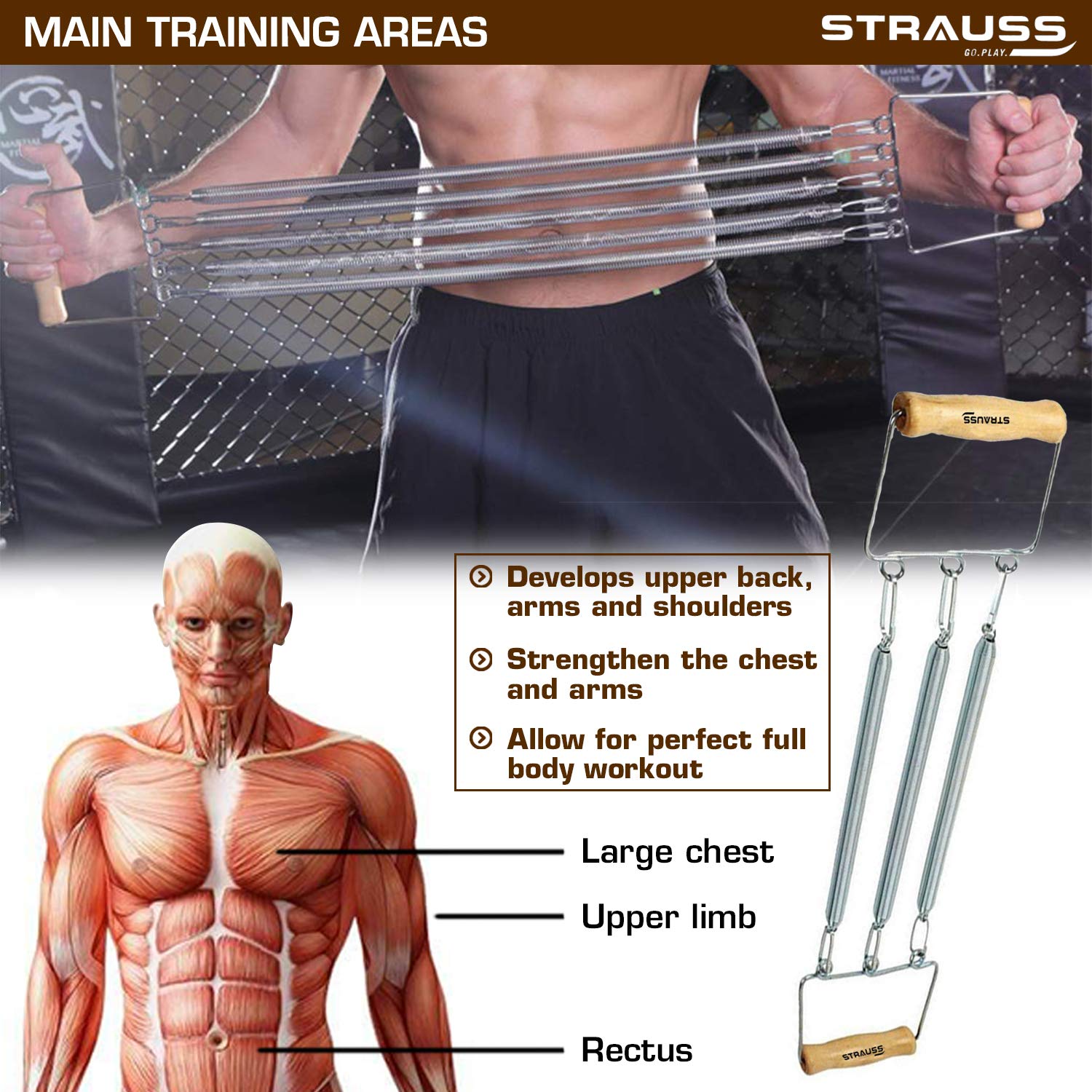 Chest Spring Out Strauss Chest Expander with 3 Springs – StraussSport