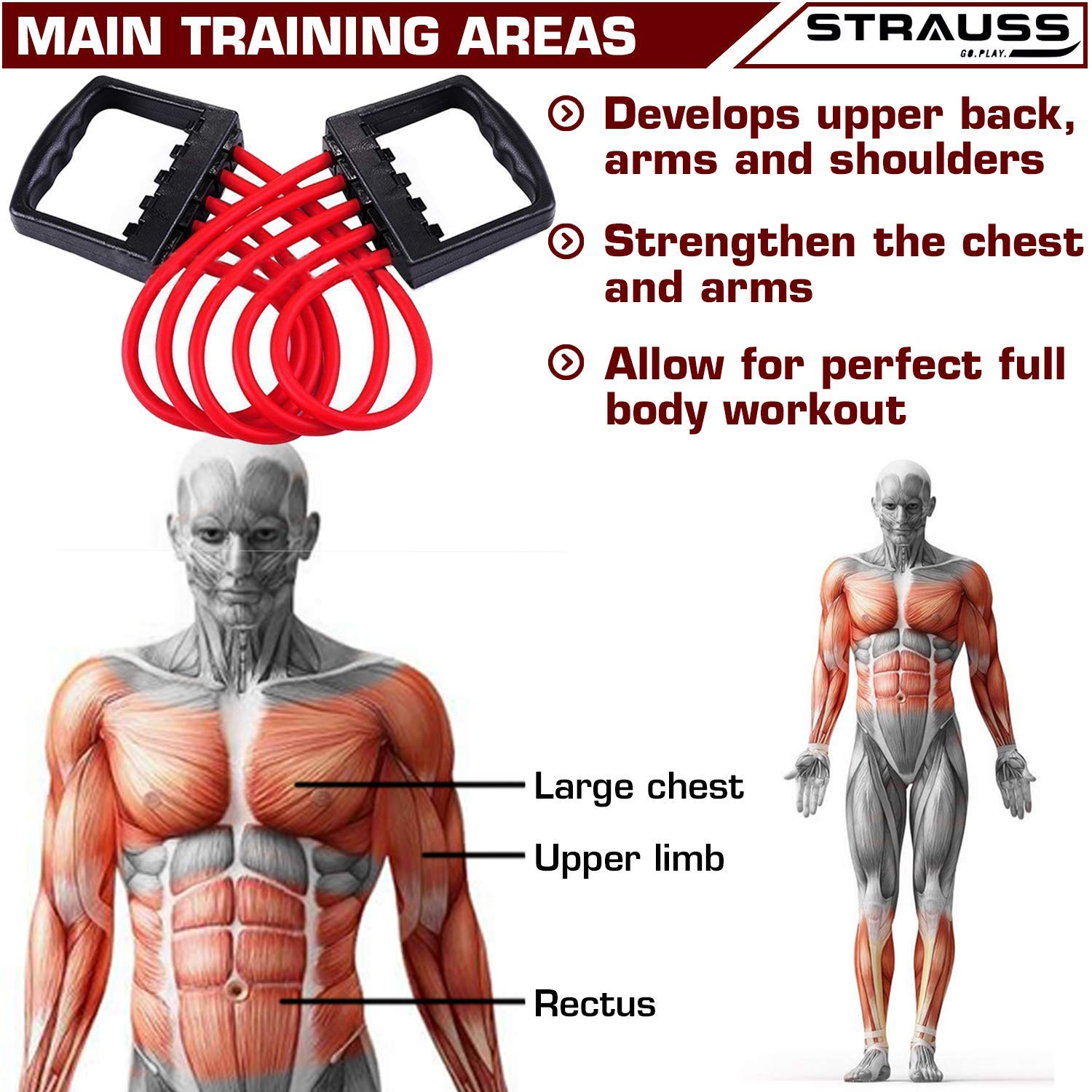 Strauss Chest Expander with 5 Springs and Adjustable Hand Grip Strengthener, (Grey/Black)