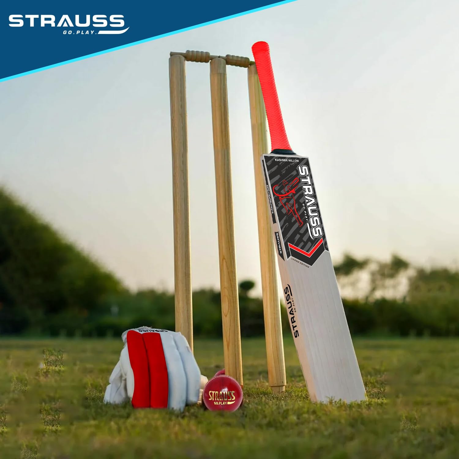 Strauss Kashmir Willow Cricket Kit Bag | Cricket Bat Set Combo with A Leather Cricket Ball| Ideal for Age Group 15+ | Set of 9 (Red) (Youth)