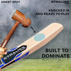 Strauss Gladiator Scoop Tennis Cricket Bat,Plain, (Singapur Handle)
