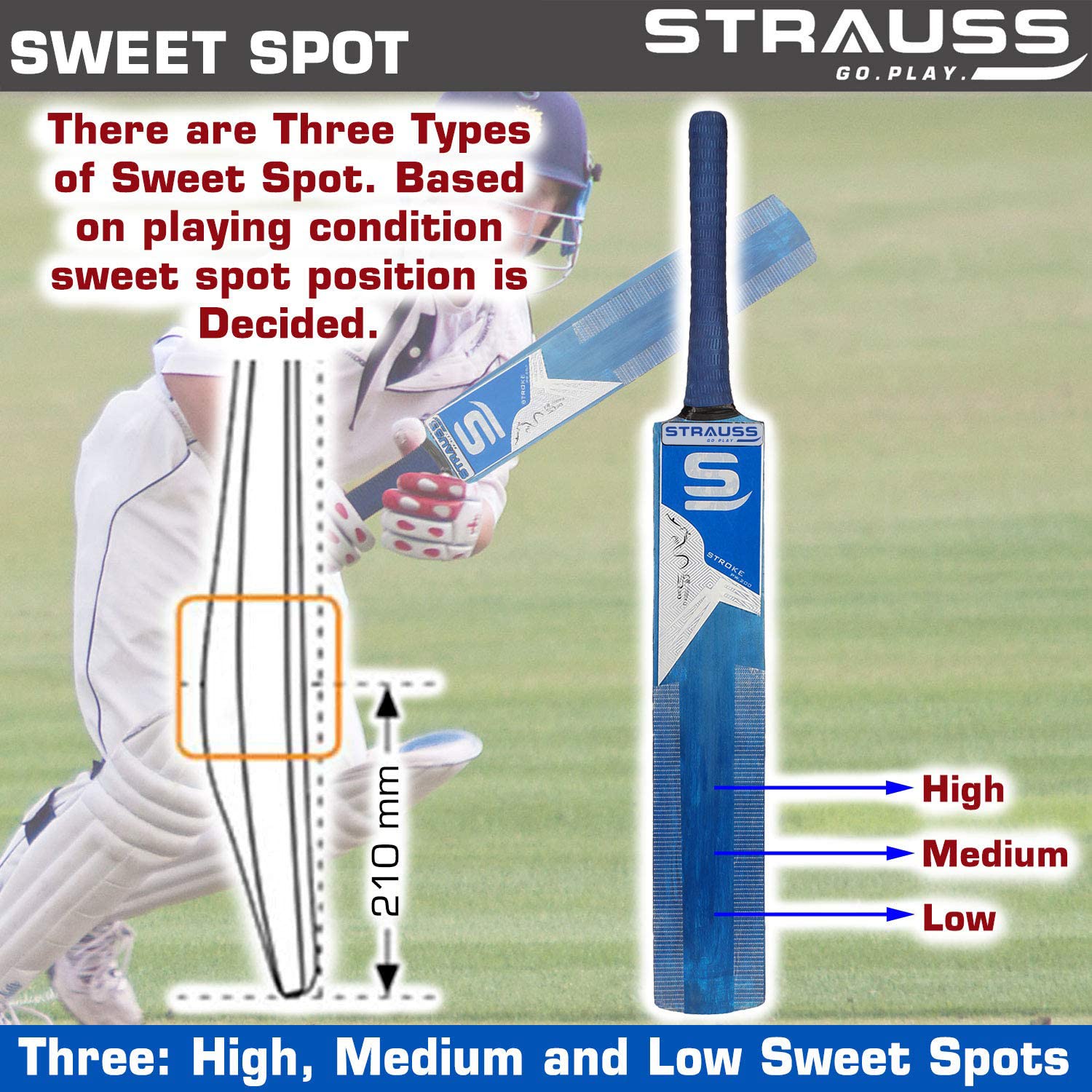 Strauss PW-200 Popular Willow Cricket Bat Without Ball, (Grains Tape), Dark Blue